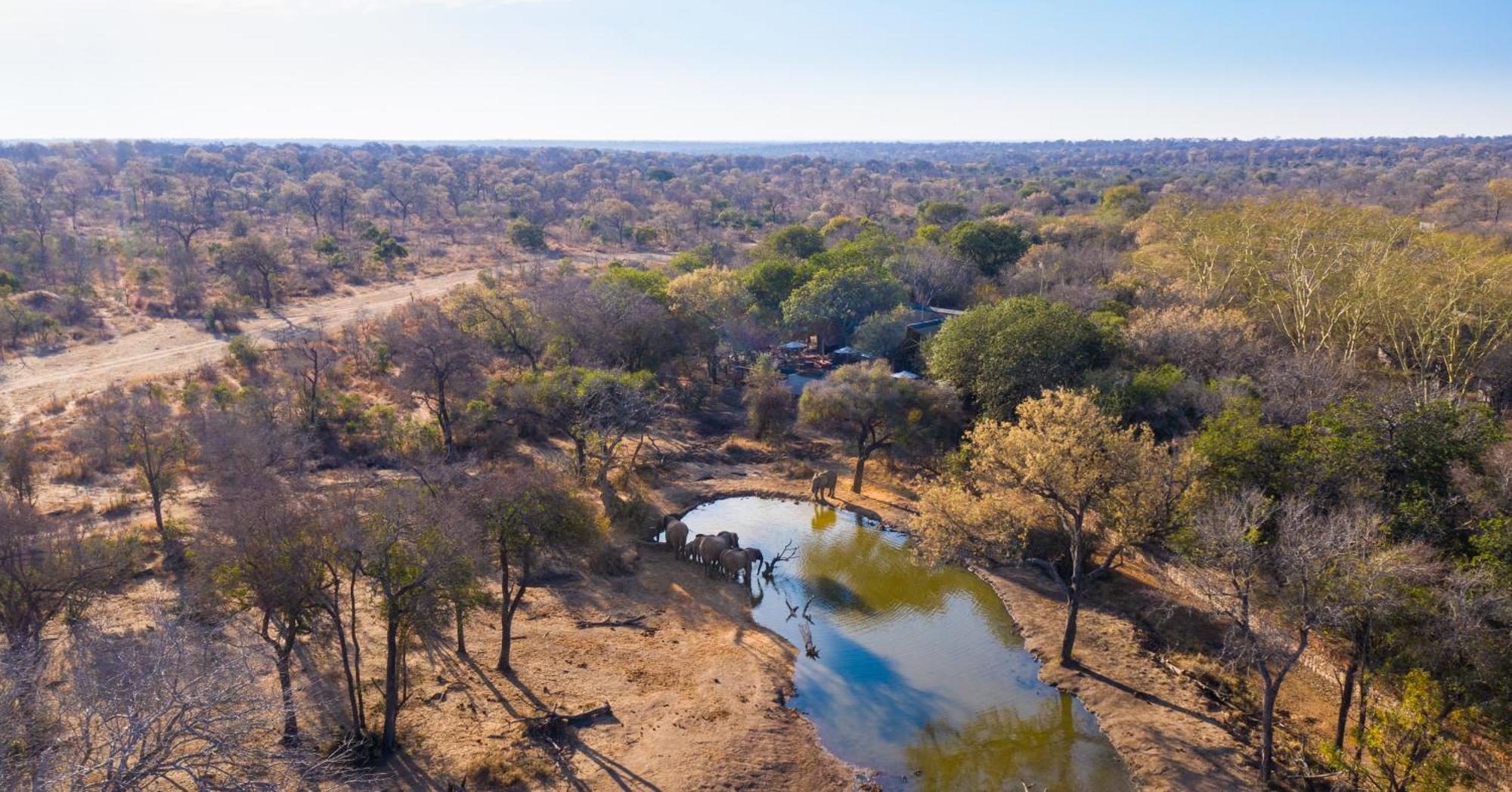 Serondella Game Lodge Thornybush Game Reserve Exterior photo