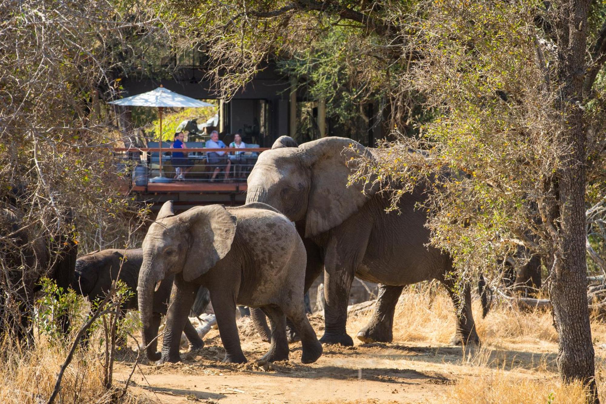 Serondella Game Lodge Thornybush Game Reserve Exterior photo