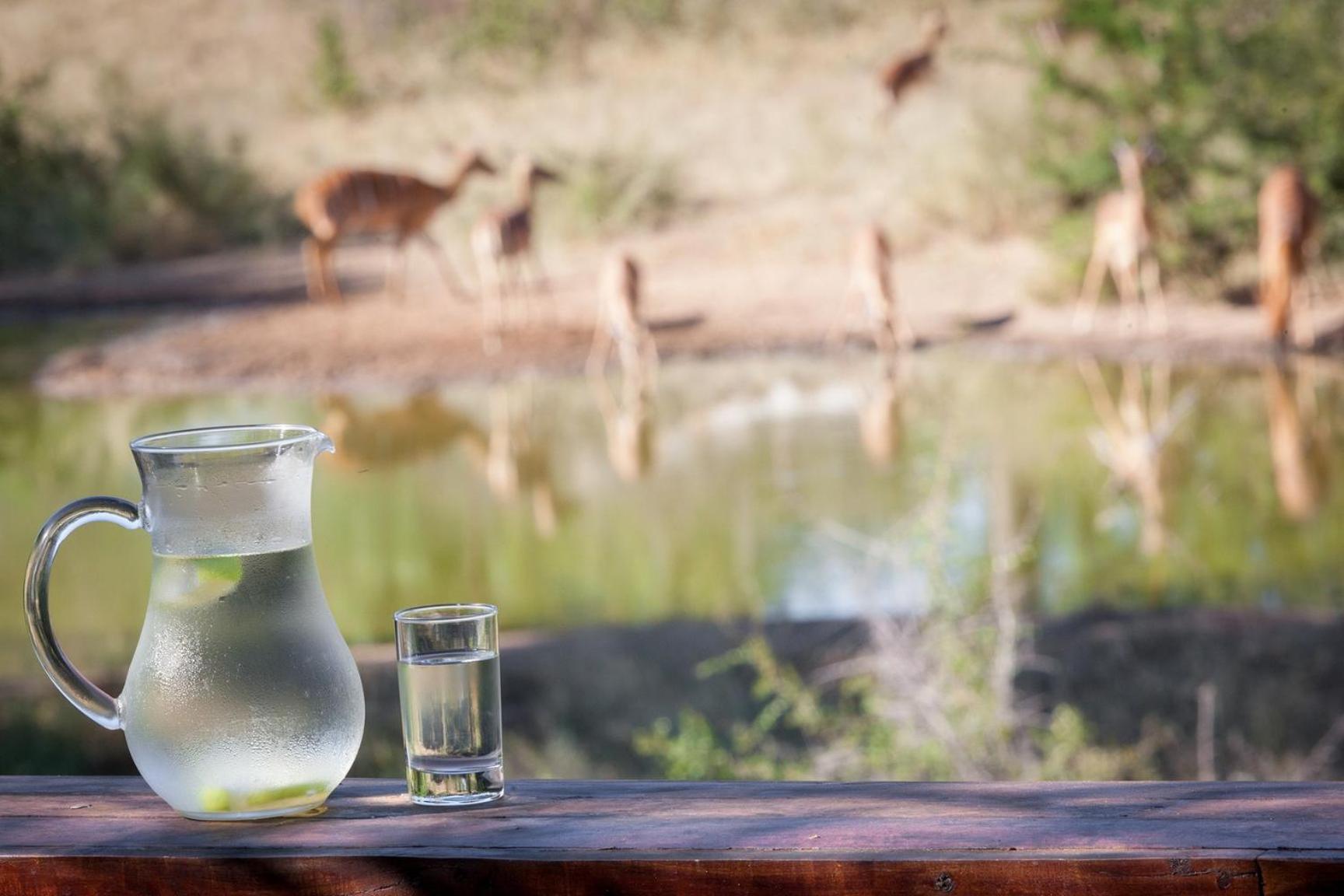 Serondella Game Lodge Thornybush Game Reserve Exterior photo