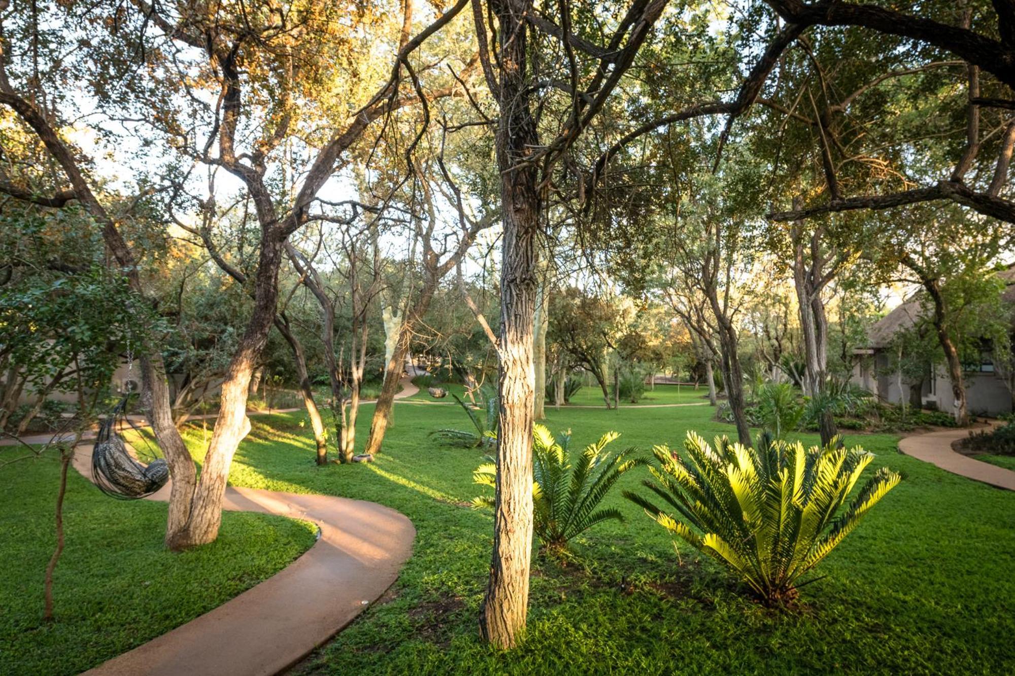 Serondella Safari Lodge Thornybush Game Reserve Exterior photo