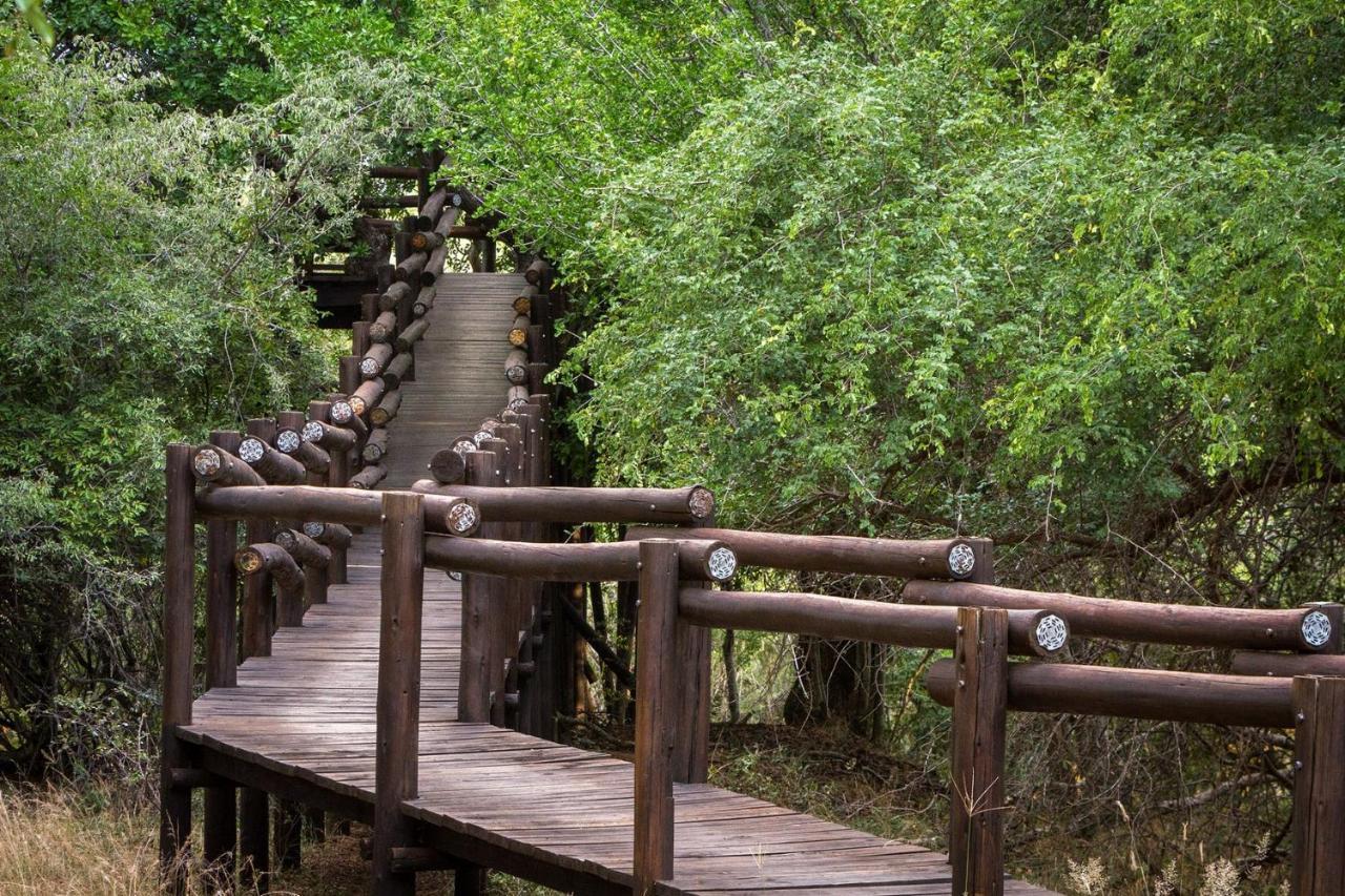 Serondella Safari Lodge Thornybush Game Reserve Exterior photo